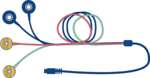 EX10 : QUADRUPLETTE 2 CUPULES / 2 PRESSIONS