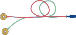 EX20 : DOUBLETTE CUPULES