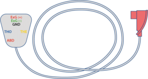 BH02 : CORDON SANGLE PV+