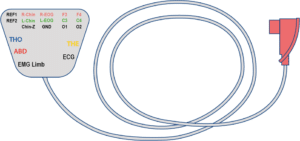 BH06 : CORDON SANGLE PSG
